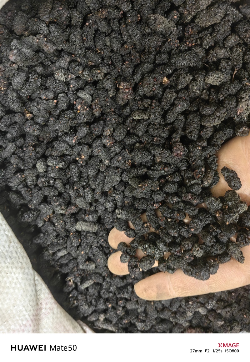 桑葚子桑椹干桑椹抓药用万信药业只做保真药材