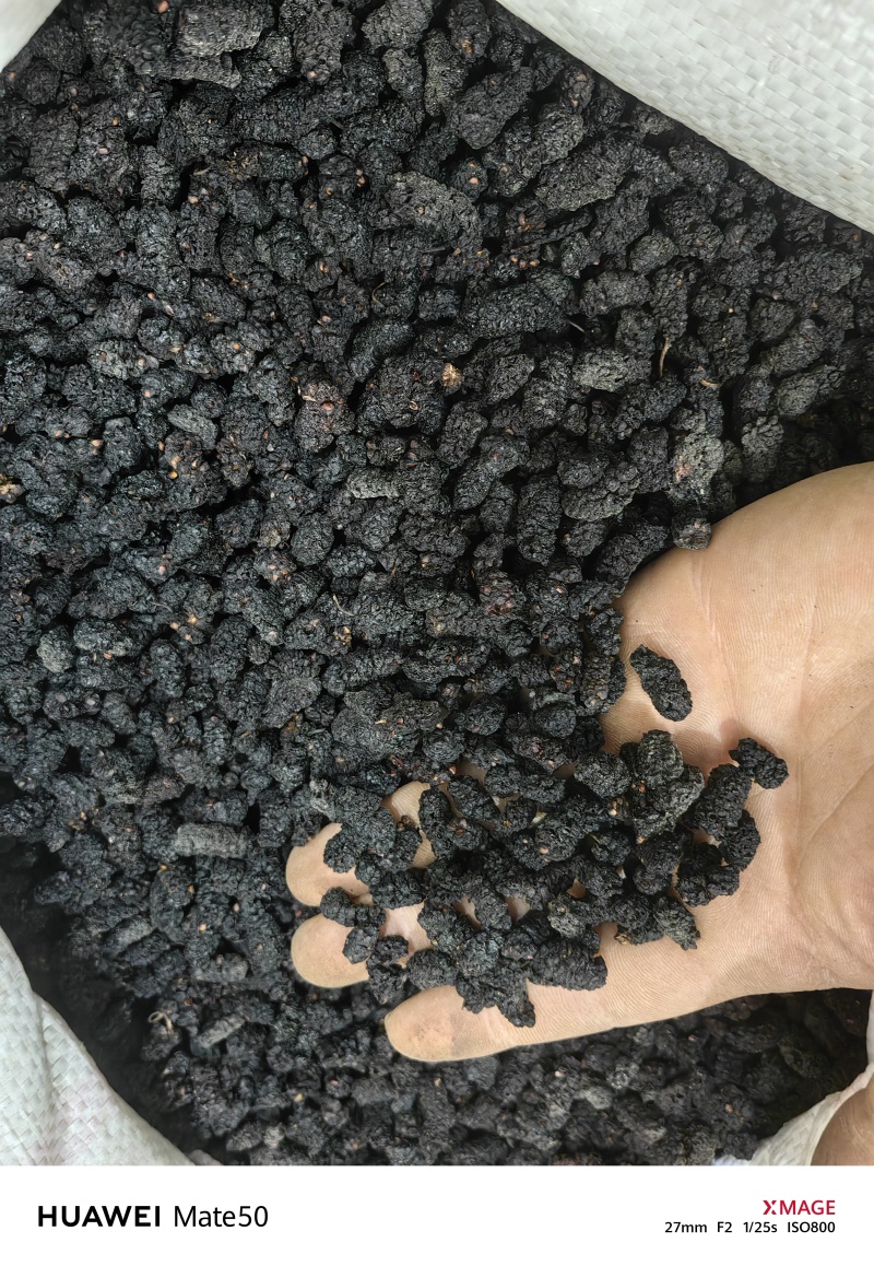 桑葚子桑椹干桑椹抓药用万信药业只做保真药材