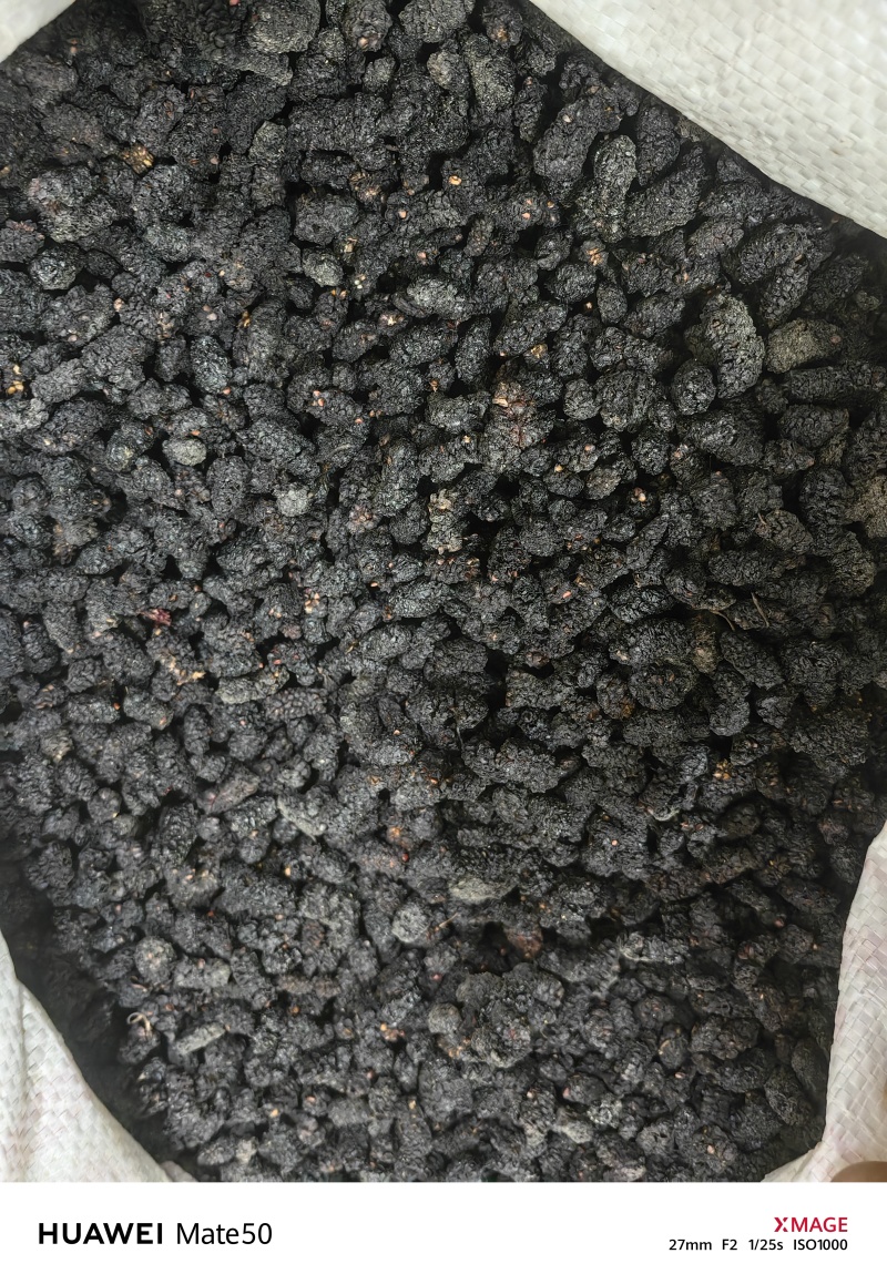 桑葚子桑椹干桑椹抓药用万信药业只做保真药材