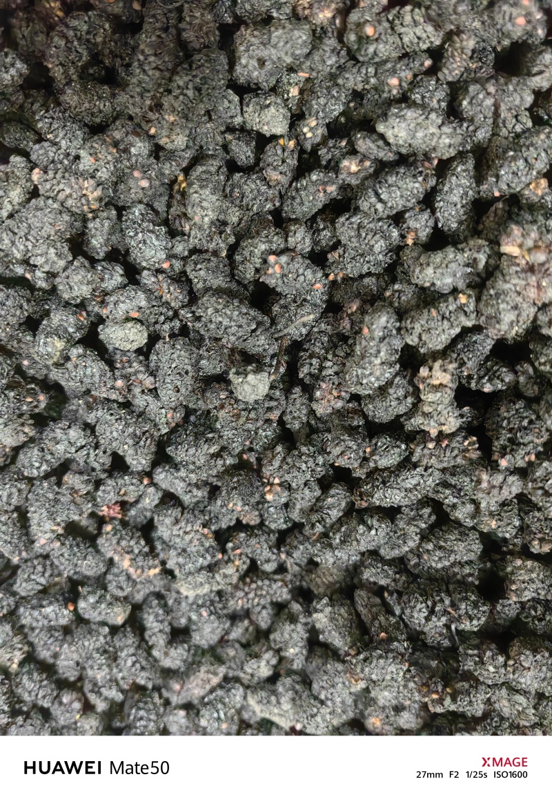 桑葚子桑椹干桑椹抓药用万信药业只做保真药材