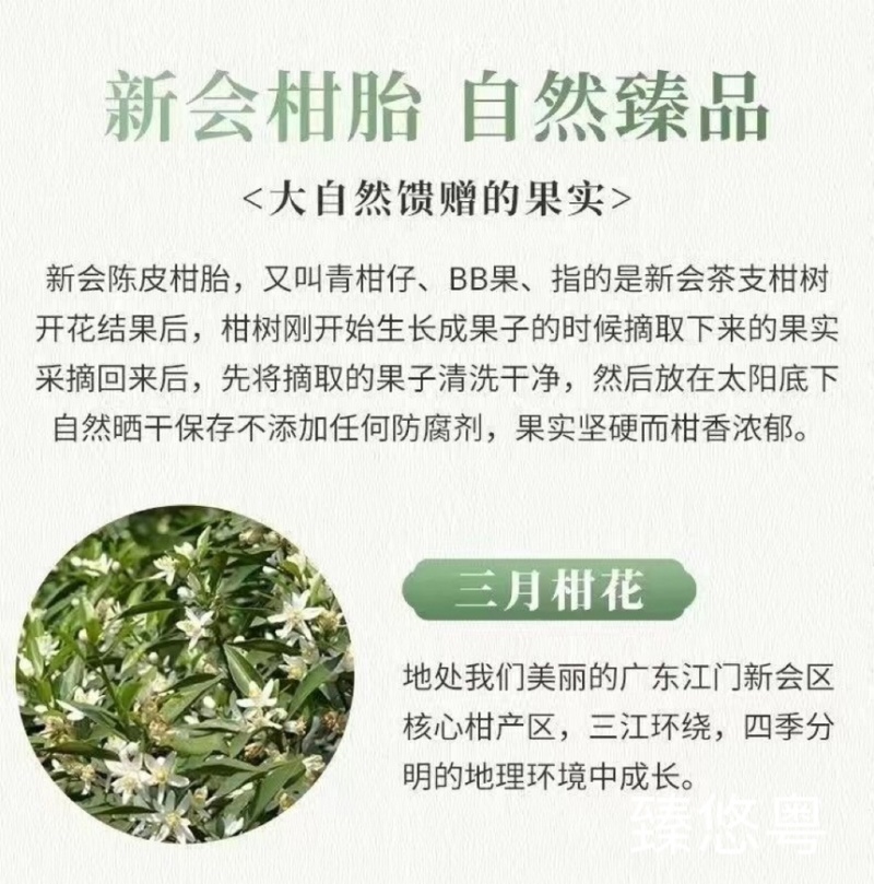 正宗新会陈皮小柑胎(树摘带蒂）