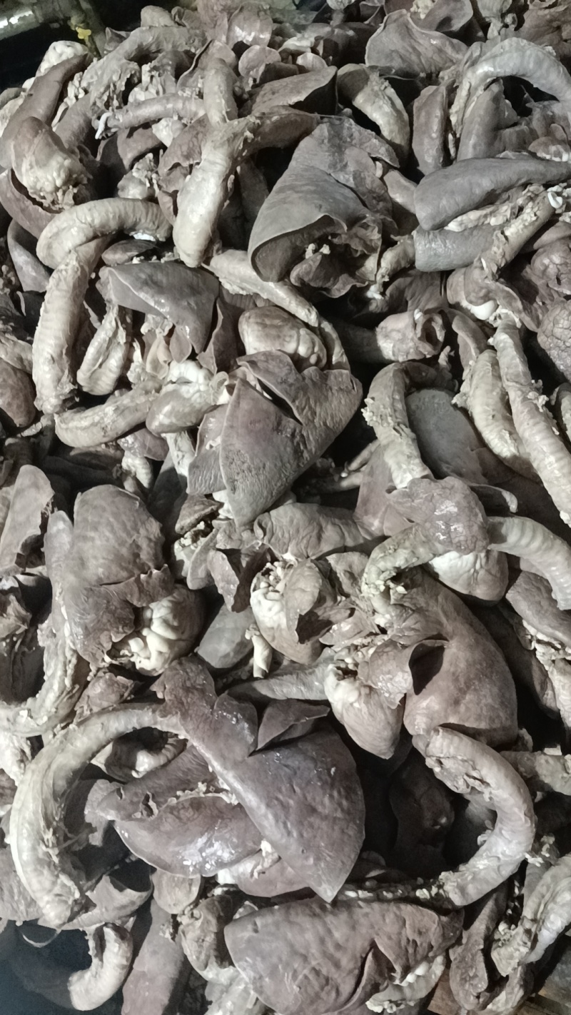 羊肺…羊杂汤羊杂全套加热即食羊肉真空加热