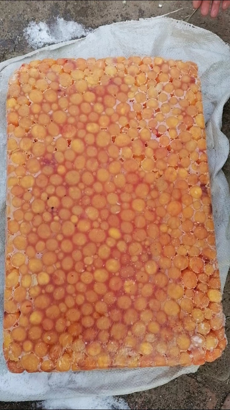鸡蛋黄工厂直发，新货现货