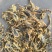 全蝎全虫盐水蝎子新货关书药业1000g起批