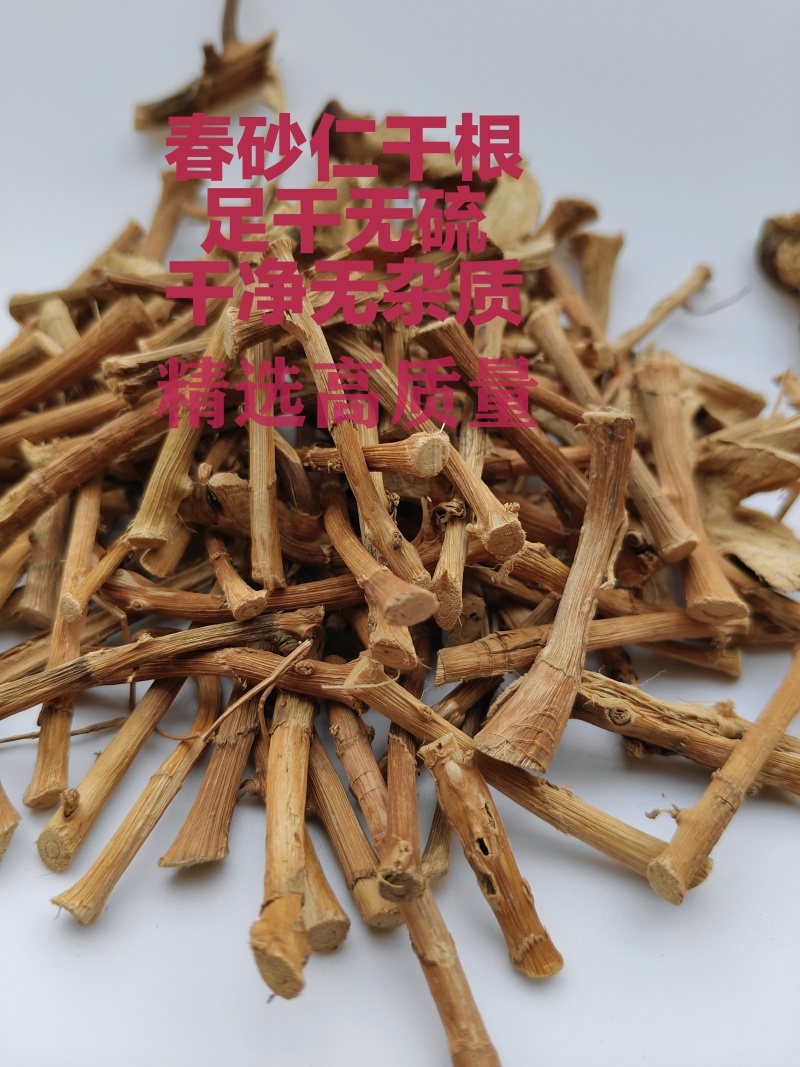 春砂仁干根广东阳春砂仁产地大量直销