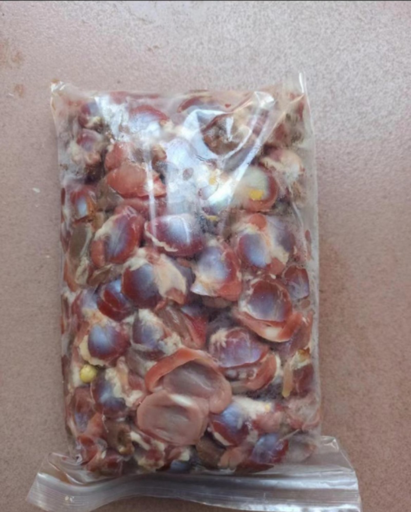 新鲜鸽子胗鸽子肾产地直发大量有货保质质量