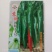 苏润辣妹子3号辣椒种子深绿色辣味浓青椒红椒干椒春秋冬辣椒