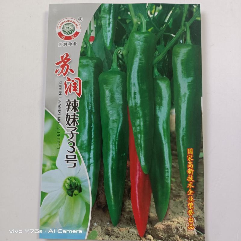 苏润辣妹子3号辣椒种子深绿色辣味浓青椒红椒干椒春秋冬辣椒