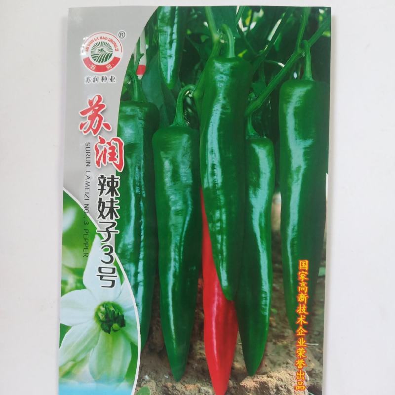 苏润3号正宗辣妹子辣椒种子春季秋季辣味浓青椒红椒干椒