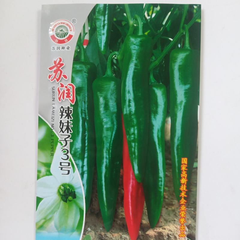苏润3号正宗辣妹子辣椒种子春季秋季辣味浓青椒红椒干椒