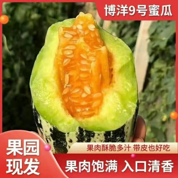 博洋9号万亩基糖度高大量供应市场批发电商团购
