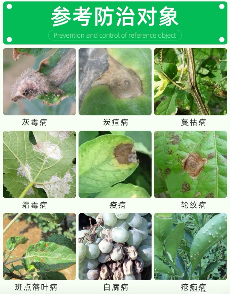 70%代森锰锌粉剂炭疽病早疫病疮痂病叶斑病农药保护性