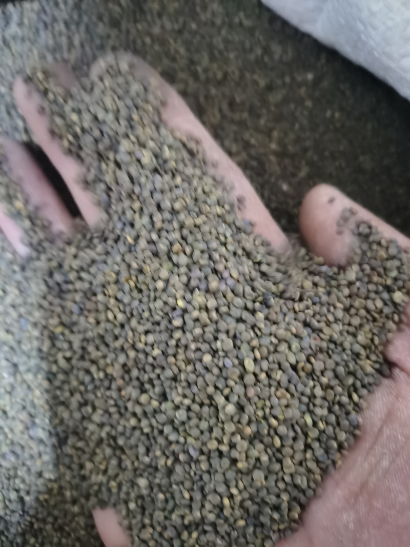沙苑子正品沙苑子泽润中药批发零售各种中药材