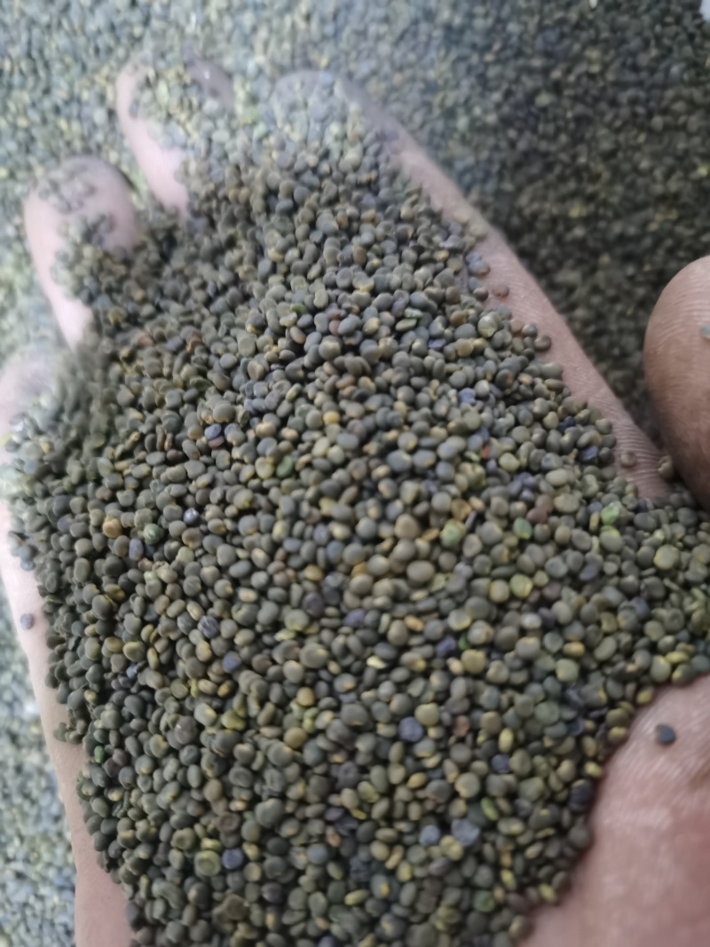 沙苑子正品沙苑子泽润中药批发零售各种中药材