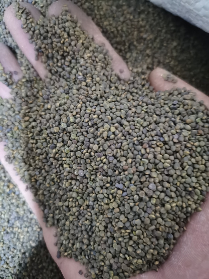 沙苑子正品沙苑子泽润中药批发零售各种中药材