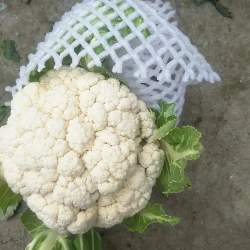 菜花带叶实菜花汉中菜花量大优惠对接商超市场等