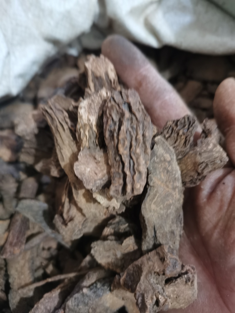 锁阳正品锁阳片泽润中药批发零售各种中药材
