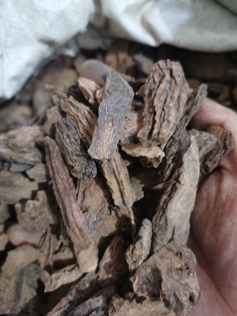 锁阳正品锁阳片泽润中药批发零售各种中药材