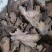 锁阳正品锁阳片泽润中药批发零售各种中药材