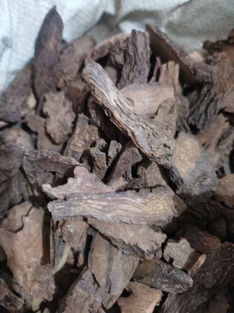 锁阳正品锁阳片泽润中药批发零售各种中药材