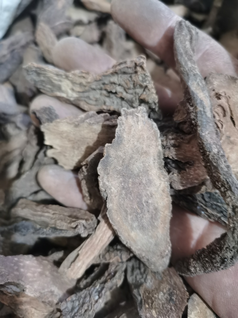 锁阳正品锁阳片泽润中药批发零售各种中药材