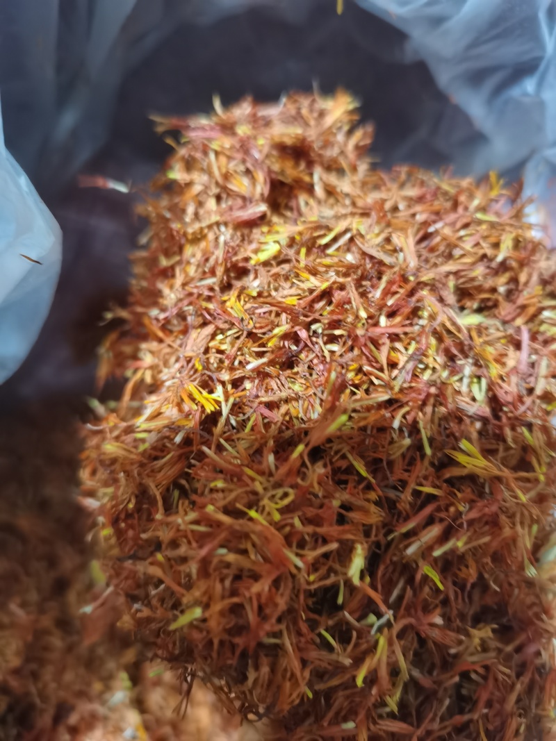 红花新货红花干净无杂质泽润中药批发零售各
