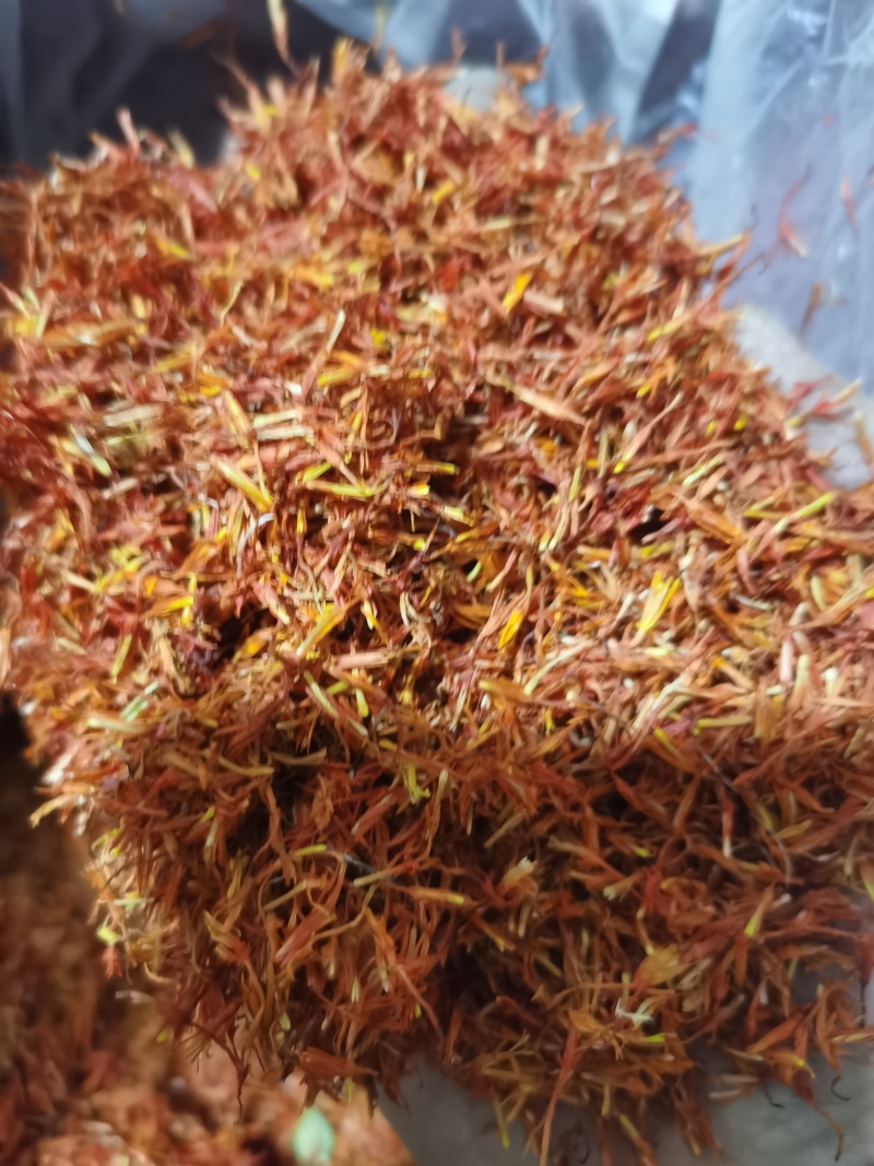 红花新货红花干净无杂质泽润中药批发零售各