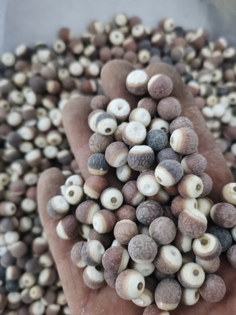 芡实各种规格芡实泽润批发零售各种中药材