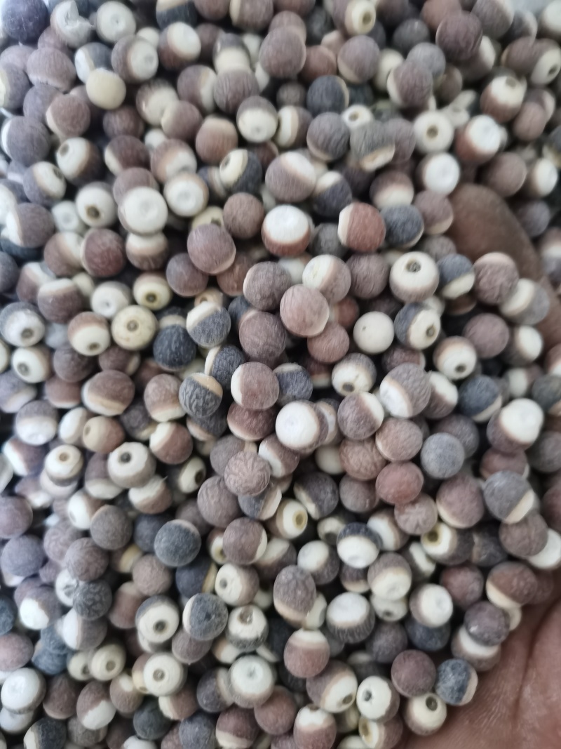 芡实各种规格芡实泽润批发零售各种中药材