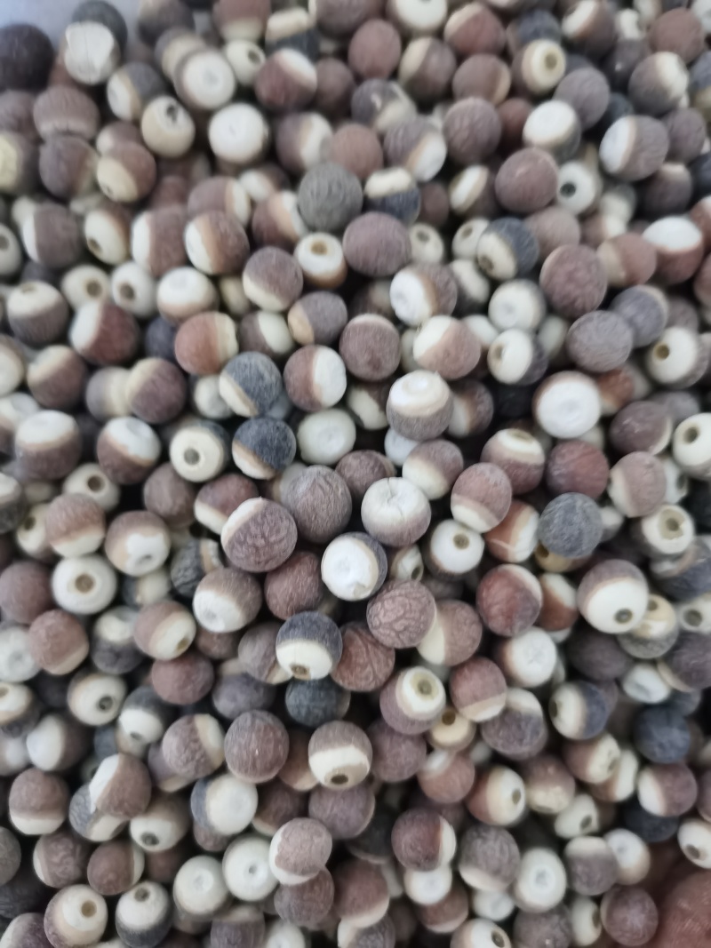 芡实各种规格芡实泽润批发零售各种中药材