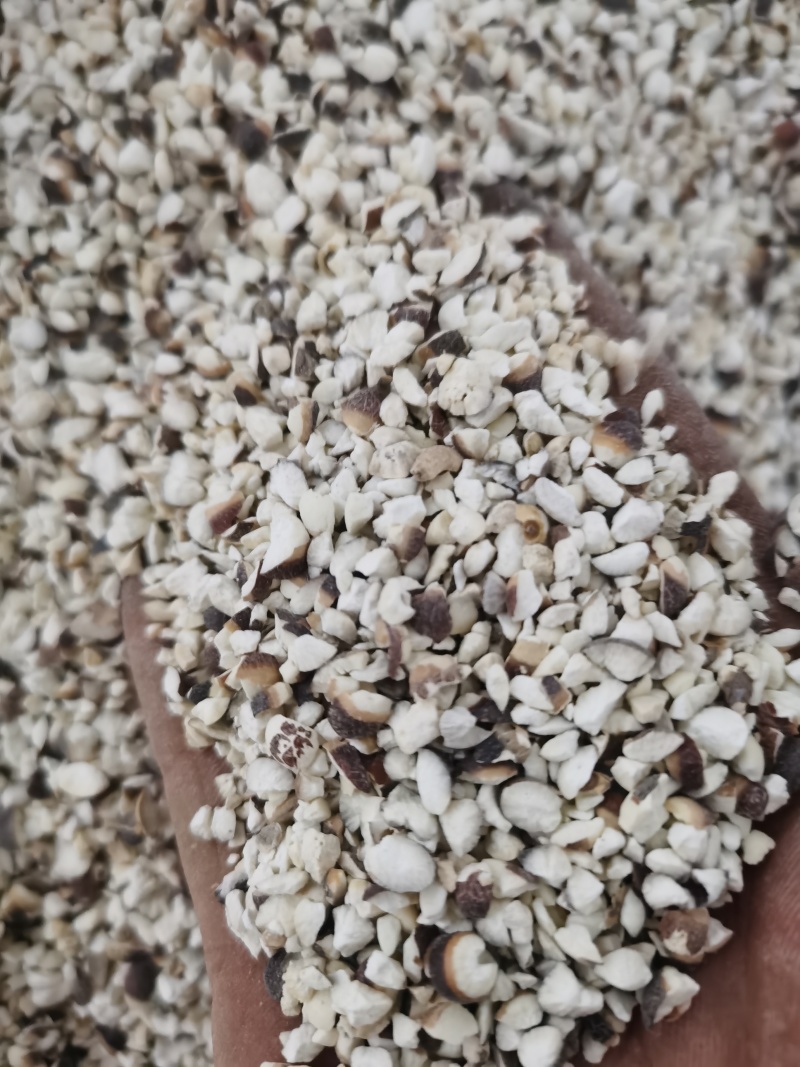 芡实各种规格芡实泽润批发零售各种中药材