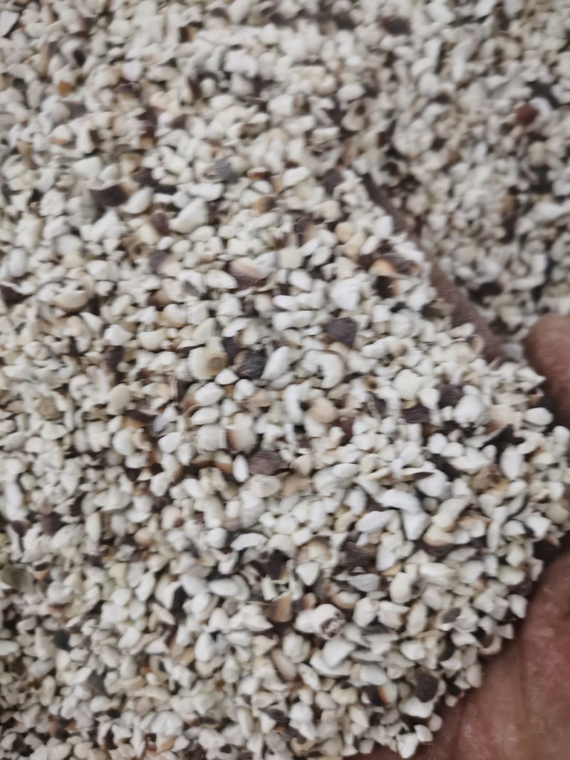 芡实各种规格芡实泽润批发零售各种中药材