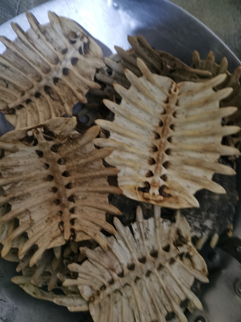 鳖甲干净无杂质泽润中药批发零售各种中药材