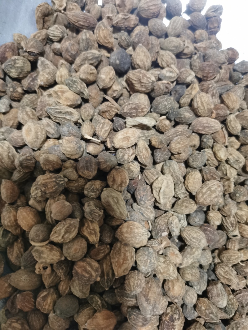 益智仁泽润中药批发零售各种中药材