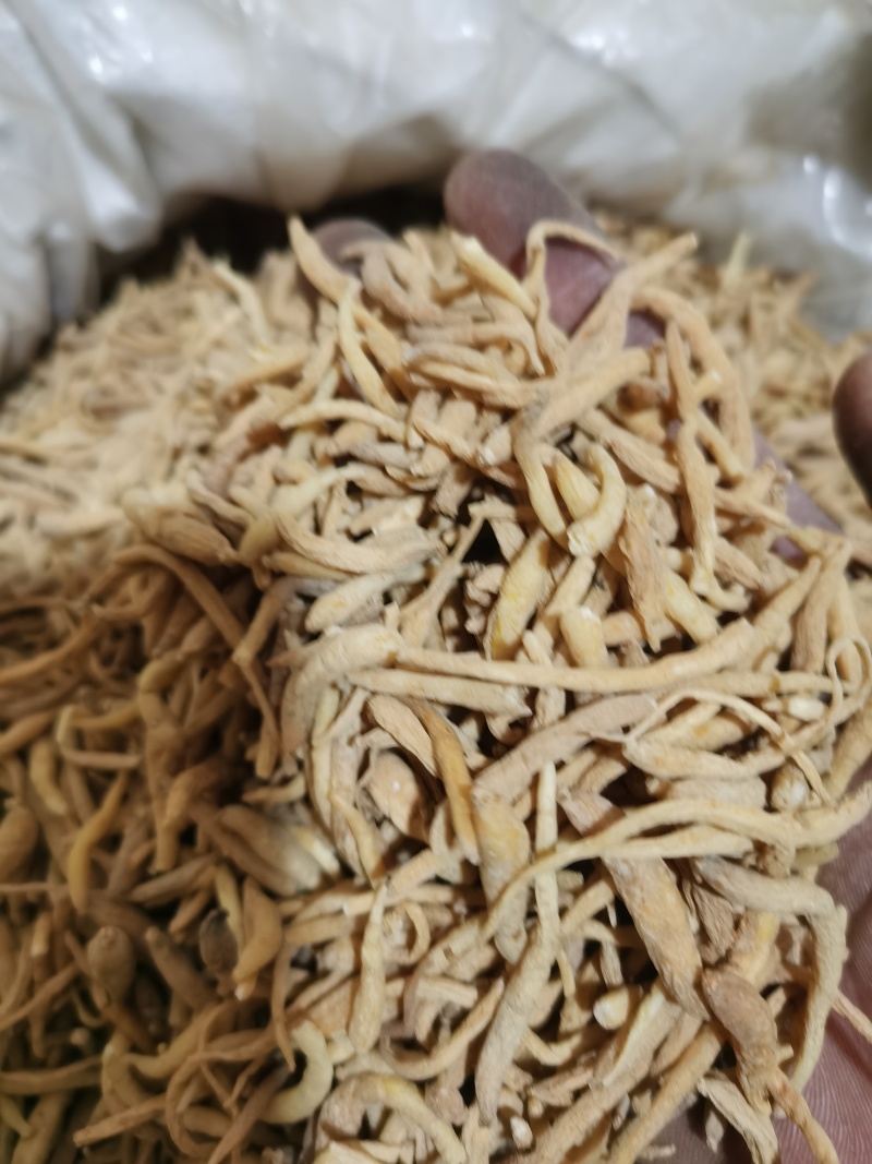 太子参无硫选装太子参泽润中药批发零售各种中药材