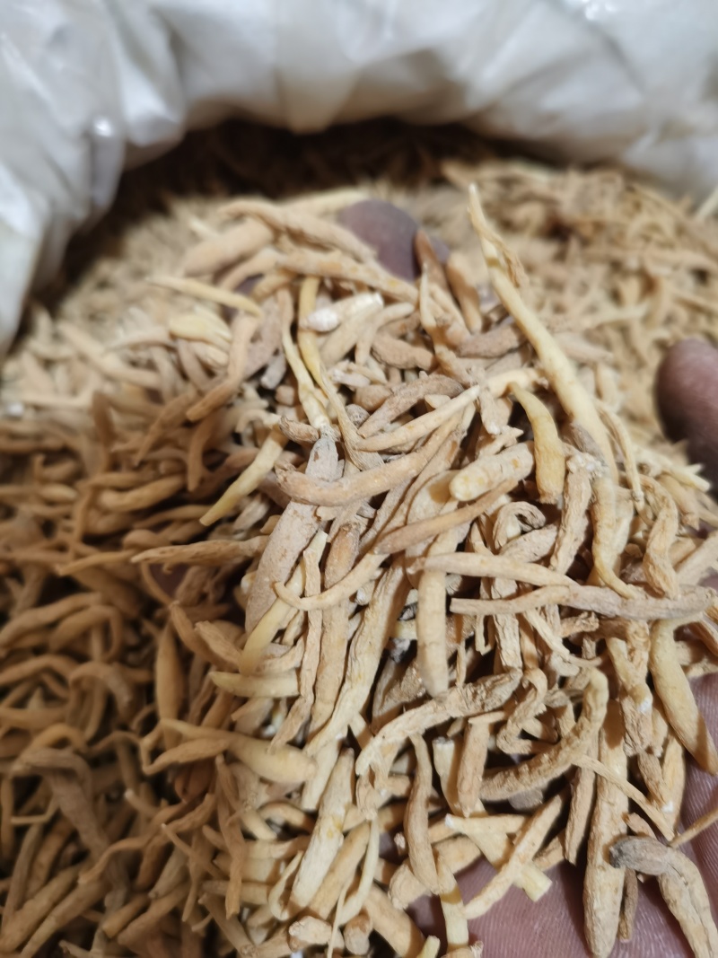 太子参无硫选装太子参泽润中药批发零售各种中药材
