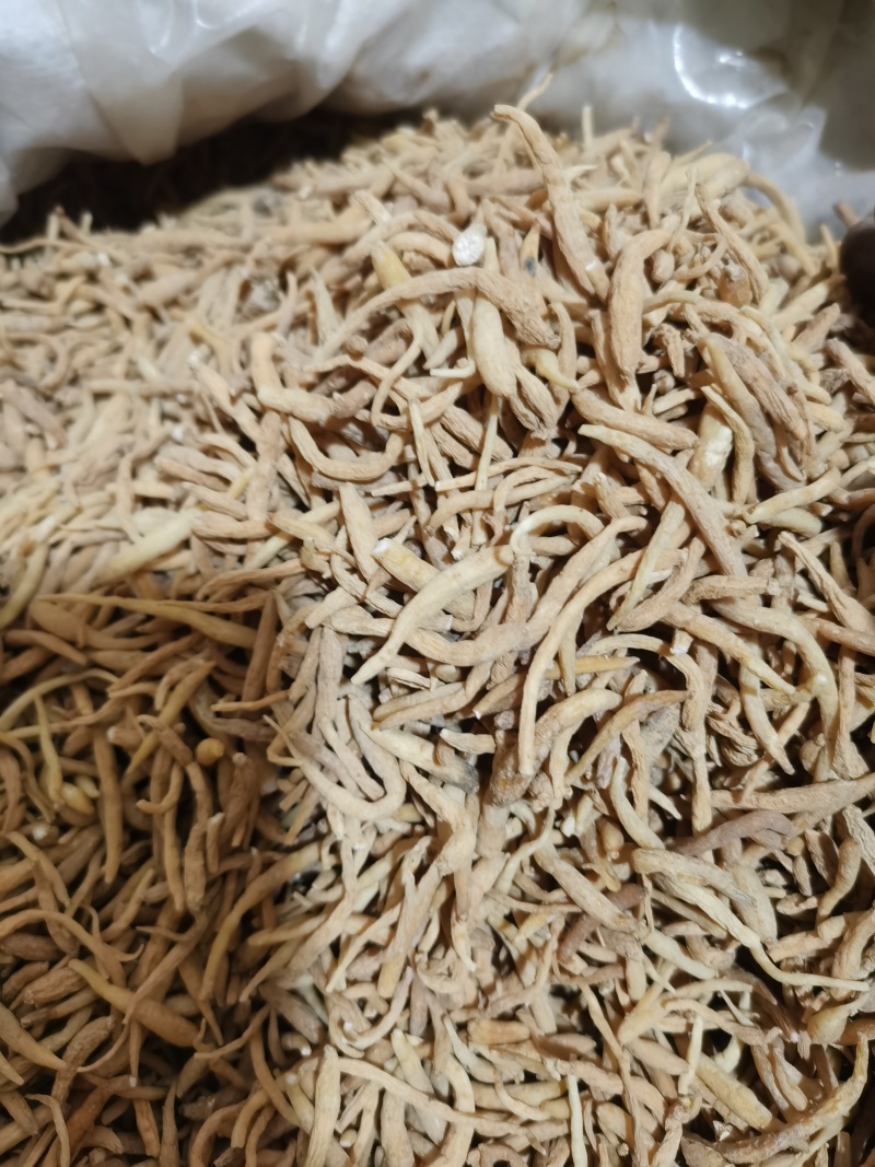 太子参无硫选装太子参泽润中药批发零售各种中药材