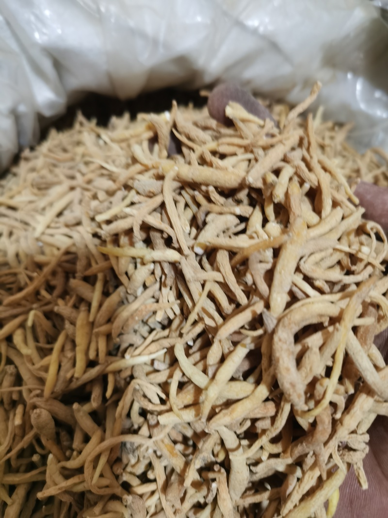 太子参无硫选装太子参泽润中药批发零售各种中药材