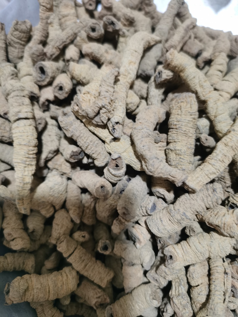 巴戟肉纯干大肉巴戟肉泽润中药批发零售各种中药材