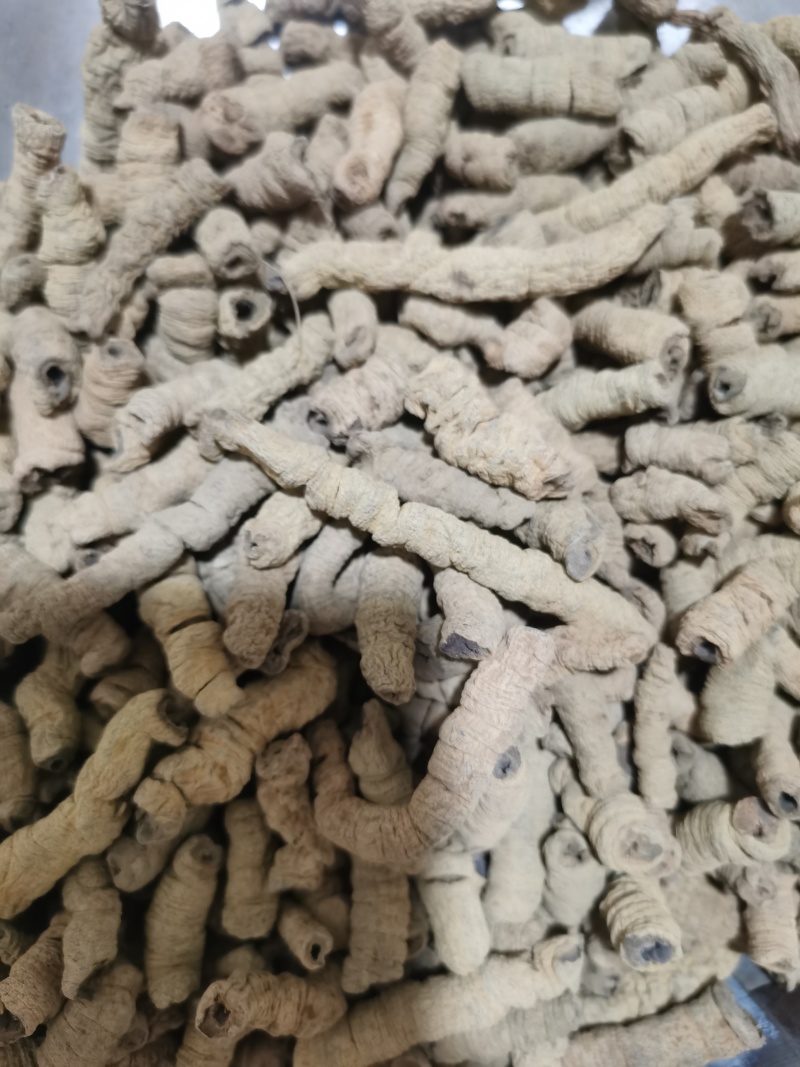 巴戟肉纯干大肉巴戟肉泽润中药批发零售各种中药材