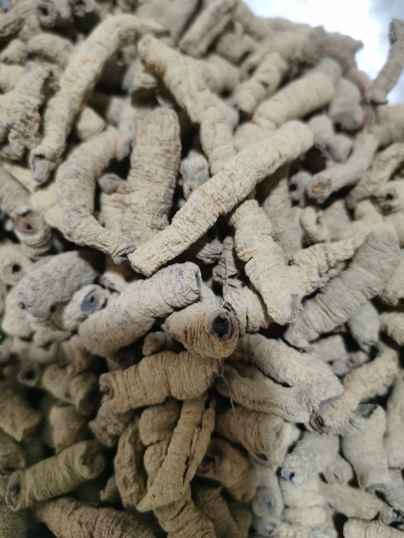巴戟肉纯干大肉巴戟肉泽润中药批发零售各种中药材