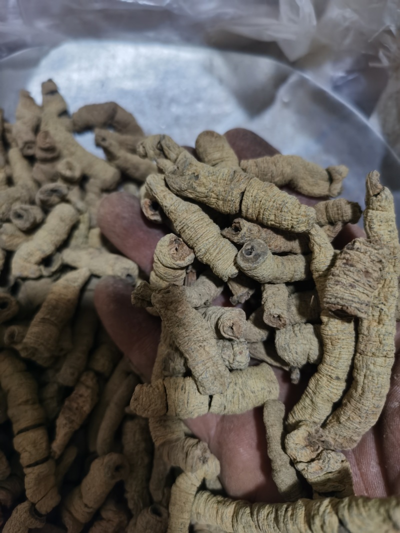 巴戟肉纯干大肉巴戟肉泽润中药批发零售各种中药材