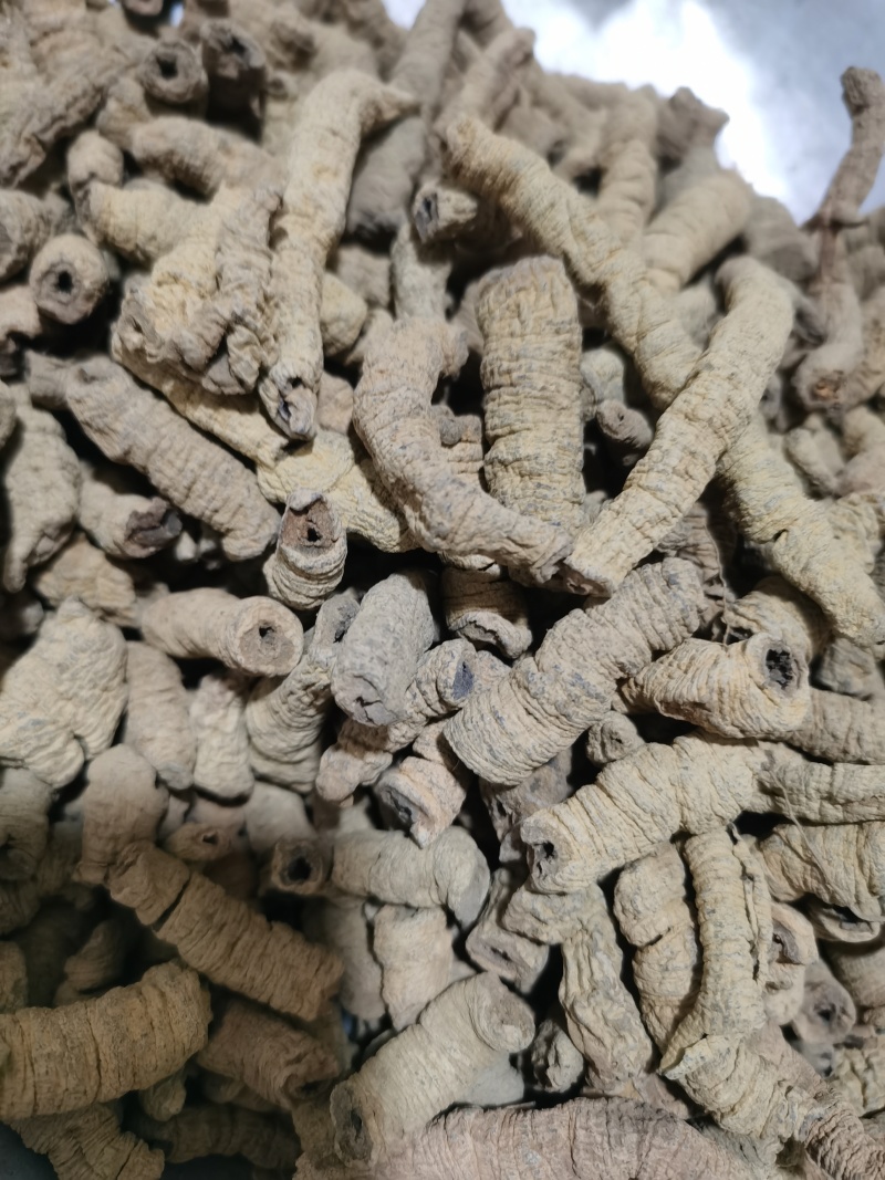 巴戟肉纯干大肉巴戟肉泽润中药批发零售各种中药材