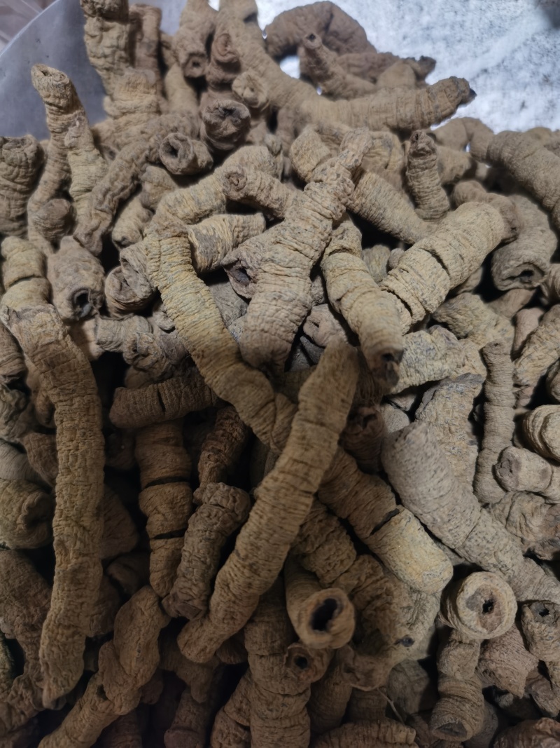 巴戟肉纯干大肉巴戟肉泽润中药批发零售各种中药材