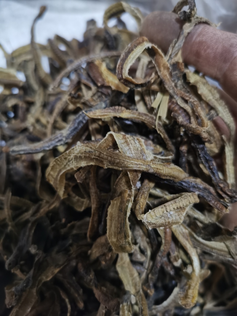 地龙小地龙统货泽润中药批发零售各种中药材