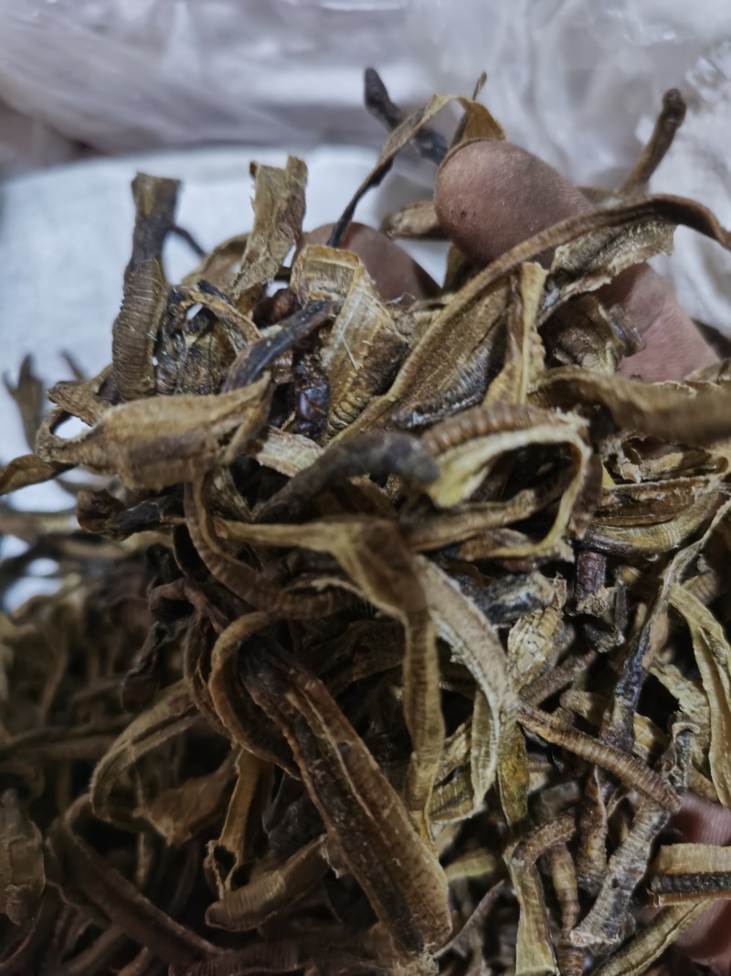 地龙小地龙统货泽润中药批发零售各种中药材