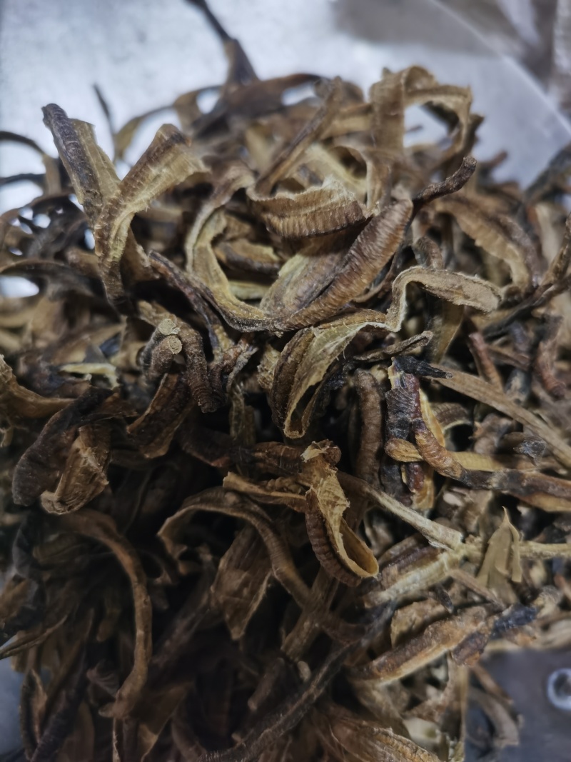 地龙小地龙统货泽润中药批发零售各种中药材