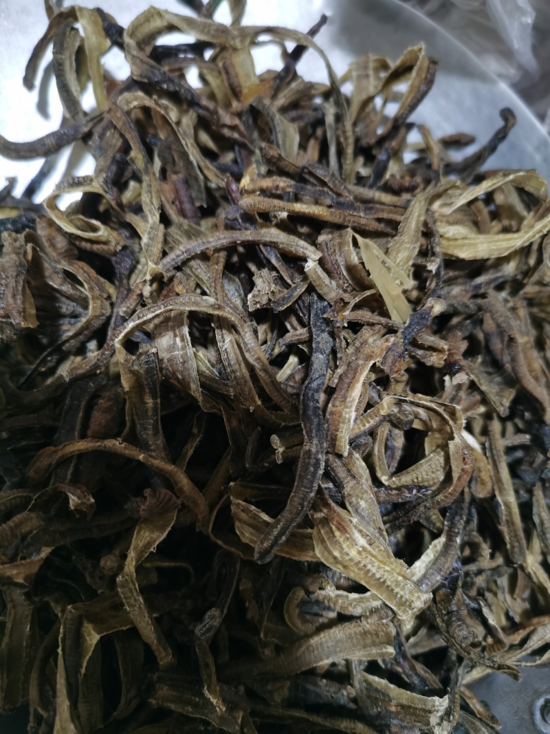 地龙小地龙统货泽润中药批发零售各种中药材