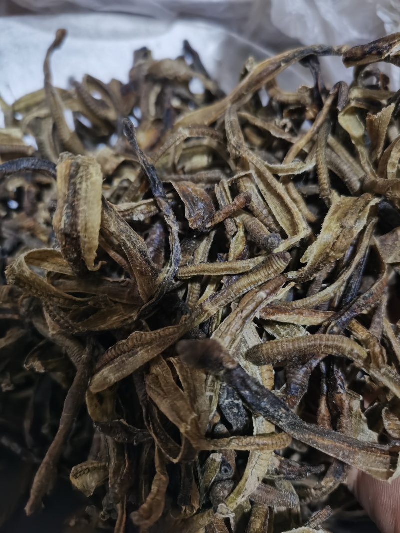 地龙小地龙统货泽润中药批发零售各种中药材