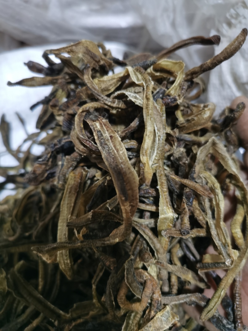 地龙小地龙统货泽润中药批发零售各种中药材